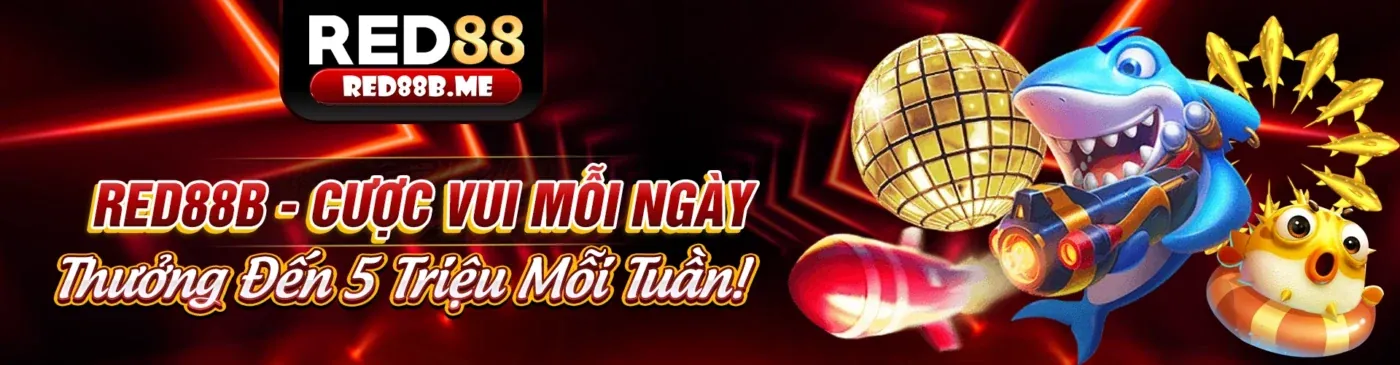 G28 Chính Thức Ứng Dụng Di Động